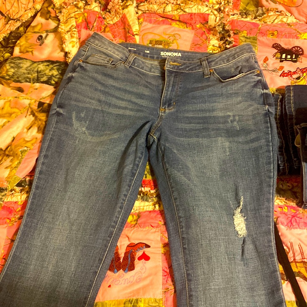 Bootcut 14R Sonoma midrise